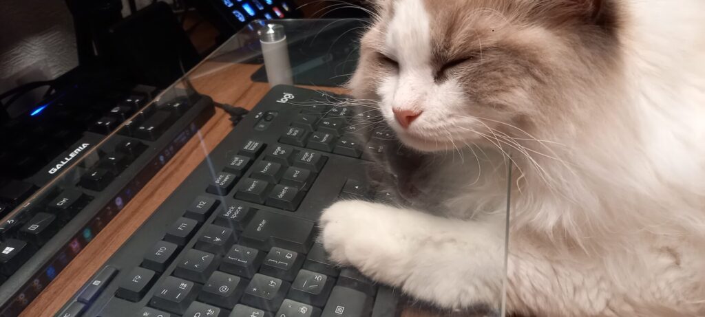 キーボードの猫対策