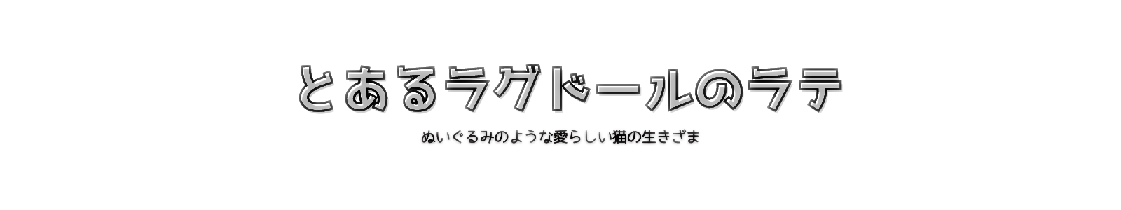 とあるラグドールのラテ